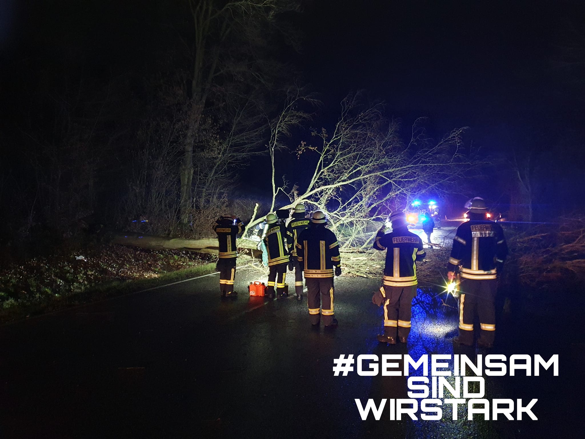 Feuerwehreinsatz in Waldgebiet
